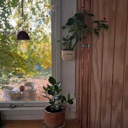 Apartment Tiny House In A Large Garden Close To Copenhagen
